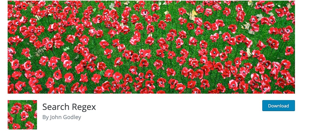 Search Regex